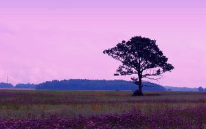 Preview wallpaper tree, flowers, grass, trees