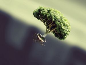 Preview wallpaper tree, flying, form, plant, fantasy