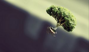 Preview wallpaper tree, flying, form, plant, fantasy