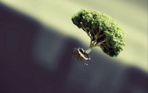 Preview wallpaper tree, flying, form, plant, fantasy