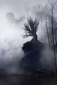 Preview wallpaper tree, fog, art, rock, cliff, branches, gloomy