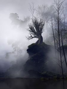 Preview wallpaper tree, fog, art, rock, cliff, branches, gloomy