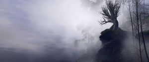 Preview wallpaper tree, fog, art, rock, cliff, branches, gloomy