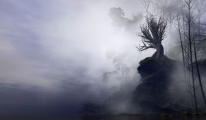 Preview wallpaper tree, fog, art, rock, cliff, branches, gloomy