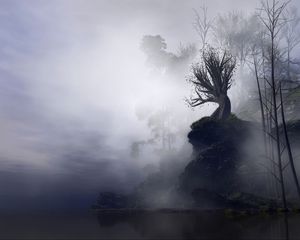 Preview wallpaper tree, fog, art, rock, cliff, branches, gloomy