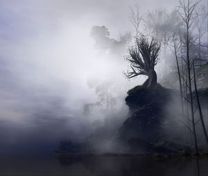Preview wallpaper tree, fog, art, rock, cliff, branches, gloomy