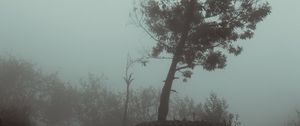 Preview wallpaper tree, fog, autumn, haze, gloomy