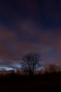 Preview wallpaper tree, fog, clouds, night, starry sky