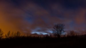 Preview wallpaper tree, fog, clouds, night, starry sky