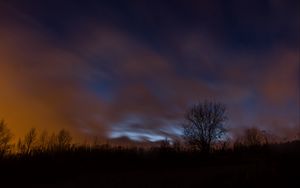 Preview wallpaper tree, fog, clouds, night, starry sky