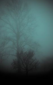 Preview wallpaper tree, fog, gloomy