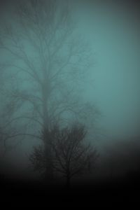 Preview wallpaper tree, fog, gloomy