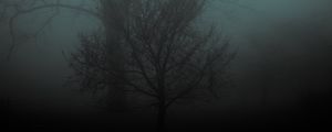 Preview wallpaper tree, fog, gloomy