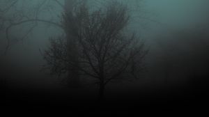 Preview wallpaper tree, fog, gloomy