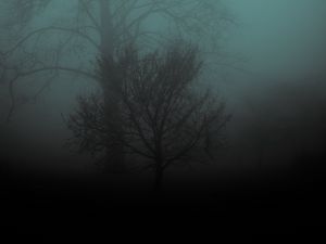 Preview wallpaper tree, fog, gloomy