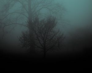 Preview wallpaper tree, fog, gloomy