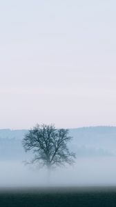 Preview wallpaper tree, fog, horizon, nature