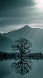 Preview wallpaper tree, fog, lake, mountains, twilight