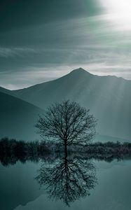 Preview wallpaper tree, fog, lake, mountains, twilight