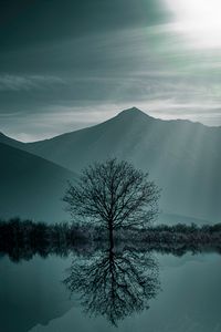 Preview wallpaper tree, fog, lake, mountains, twilight