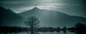 Preview wallpaper tree, fog, lake, mountains, twilight