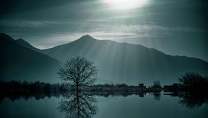 Preview wallpaper tree, fog, lake, mountains, twilight