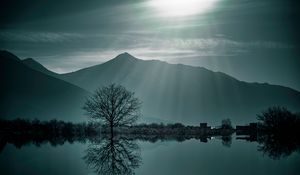 Preview wallpaper tree, fog, lake, mountains, twilight