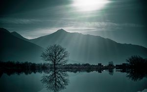 Preview wallpaper tree, fog, lake, mountains, twilight