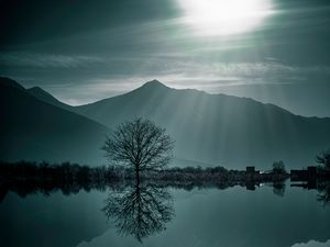 Preview wallpaper tree, fog, lake, mountains, twilight
