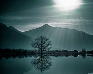 Preview wallpaper tree, fog, lake, mountains, twilight