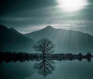 Preview wallpaper tree, fog, lake, mountains, twilight