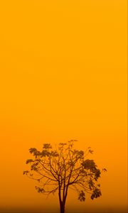 Preview wallpaper tree, fog, minimalism, yellow, aesthetic