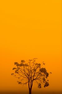 Preview wallpaper tree, fog, minimalism, yellow, aesthetic