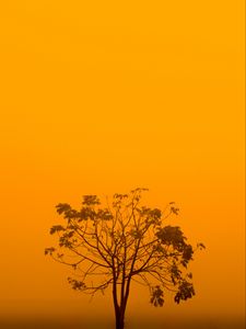 Preview wallpaper tree, fog, minimalism, yellow, aesthetic