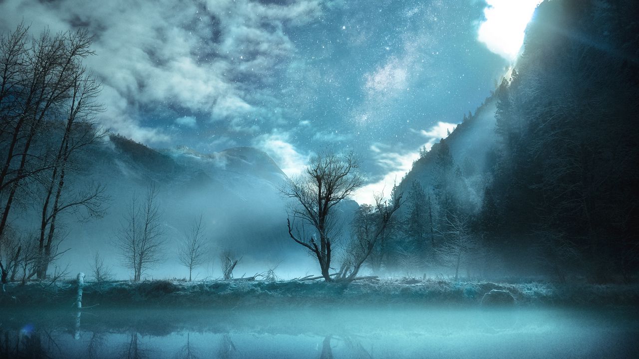 Wallpaper tree, fog, mountains, yosemite valley, usa