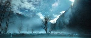 Preview wallpaper tree, fog, mountains, yosemite valley, usa
