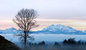 Preview wallpaper tree, fog, mountains, landscape