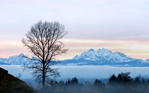 Preview wallpaper tree, fog, mountains, landscape