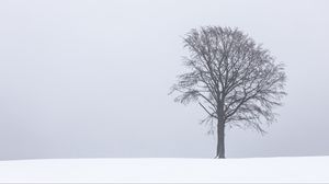 Preview wallpaper tree, fog, snow, lonely, landscape