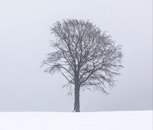 Preview wallpaper tree, fog, snow, lonely, landscape