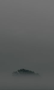 Preview wallpaper tree, fog, top, minimalism