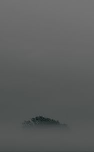 Preview wallpaper tree, fog, top, minimalism