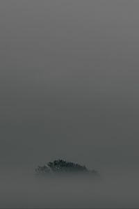 Preview wallpaper tree, fog, top, minimalism
