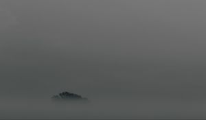Preview wallpaper tree, fog, top, minimalism
