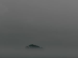 Preview wallpaper tree, fog, top, minimalism