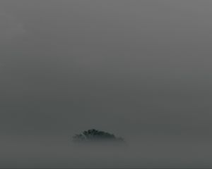 Preview wallpaper tree, fog, top, minimalism