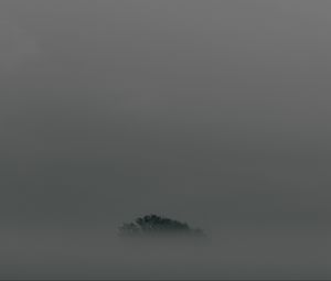 Preview wallpaper tree, fog, top, minimalism