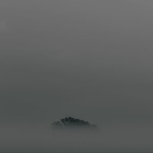Preview wallpaper tree, fog, top, minimalism