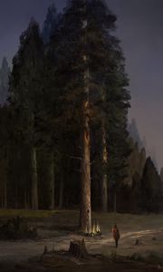 Preview wallpaper tree, forest, trail, glow, silhouette, art