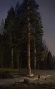 Preview wallpaper tree, forest, trail, glow, silhouette, art